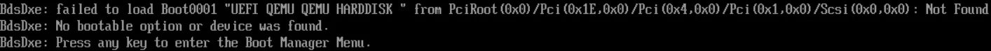 EFI Issue
